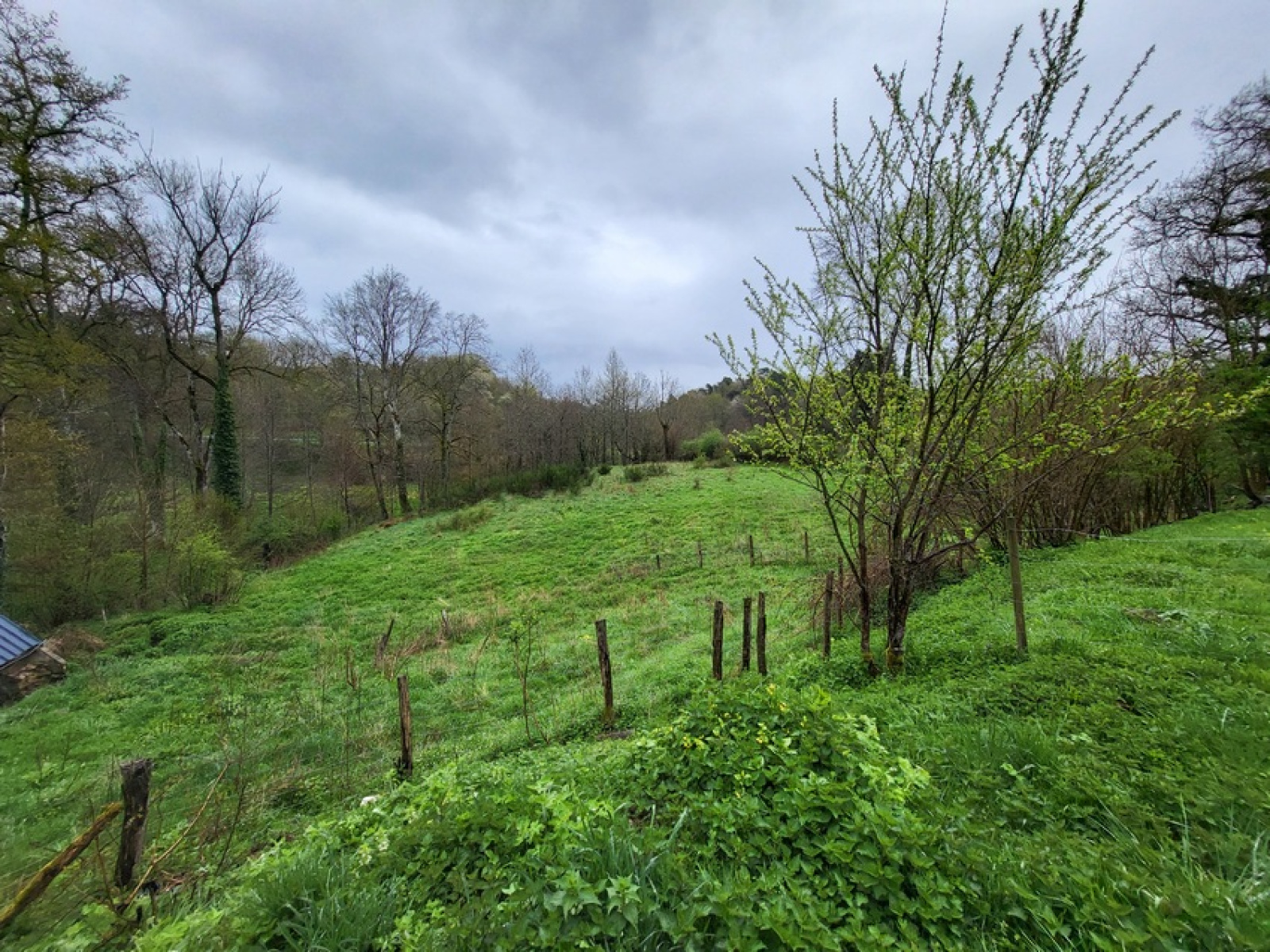 Image_, Maison, Saint-Gervais-d'Auvergne, ref :1912