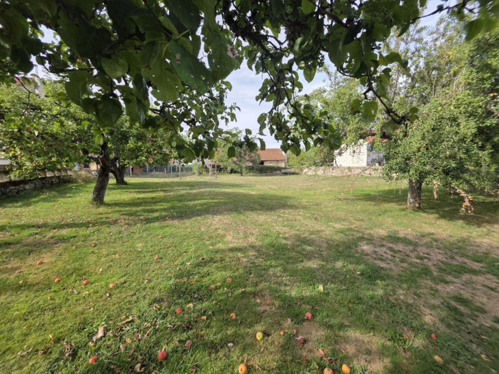 Image_, Maison, Saint-Georges-de-Mons, ref :2022