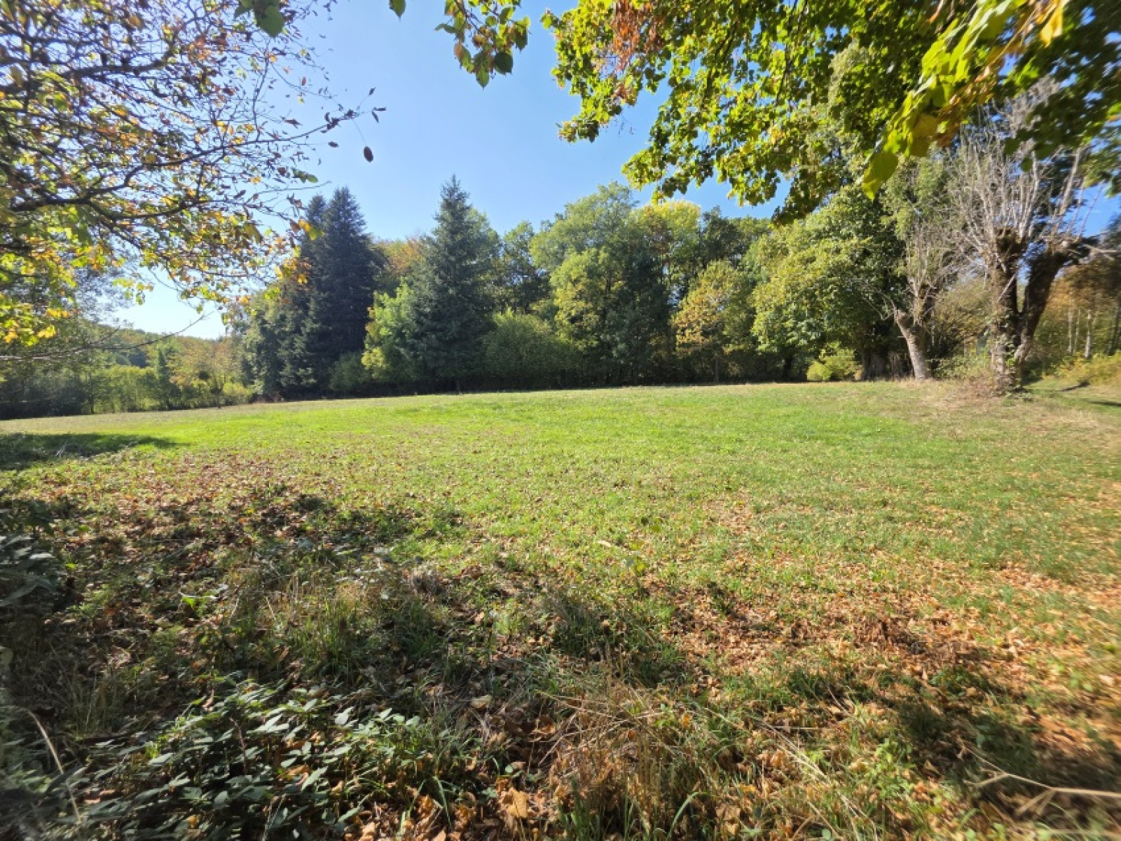 Image_, Maison, Saint-Georges-de-Mons, ref :2032