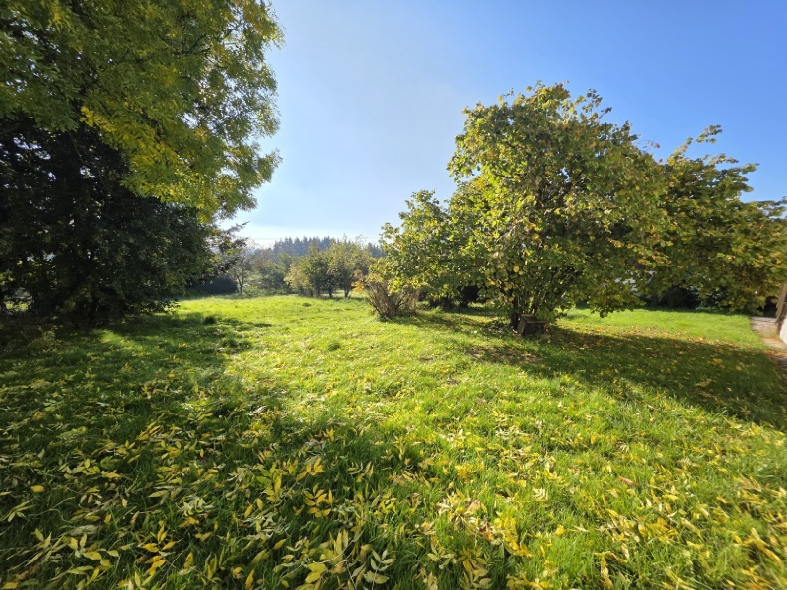 Image_, Maison, Saint-Gervais-d'Auvergne, ref :1943