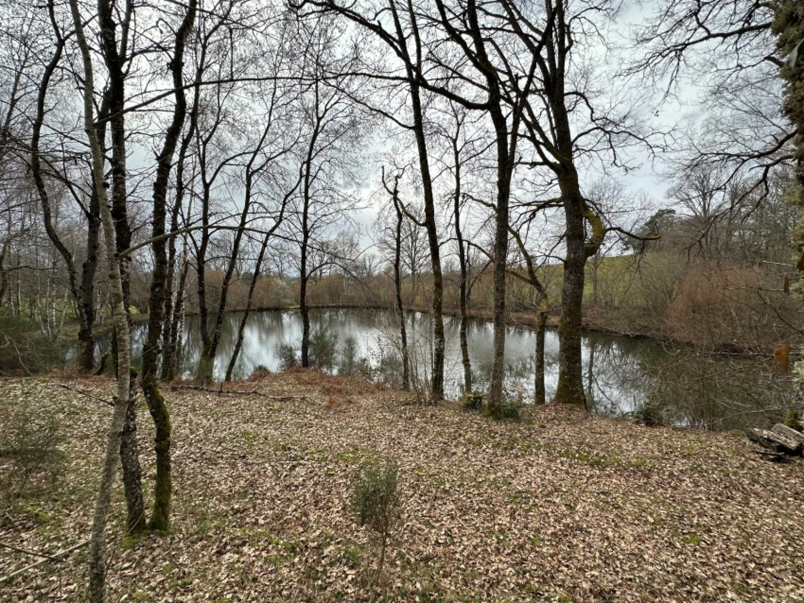 Image_, Maison, Saint-Priest-des-Champs, ref :1980