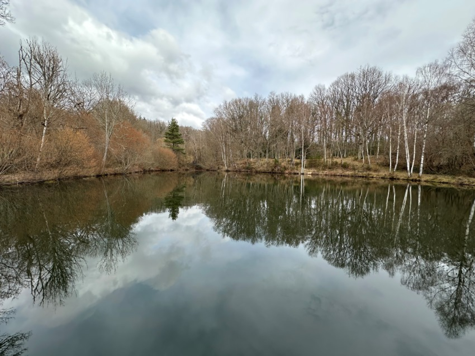 Image_, Maison, Saint-Priest-des-Champs, ref :1980