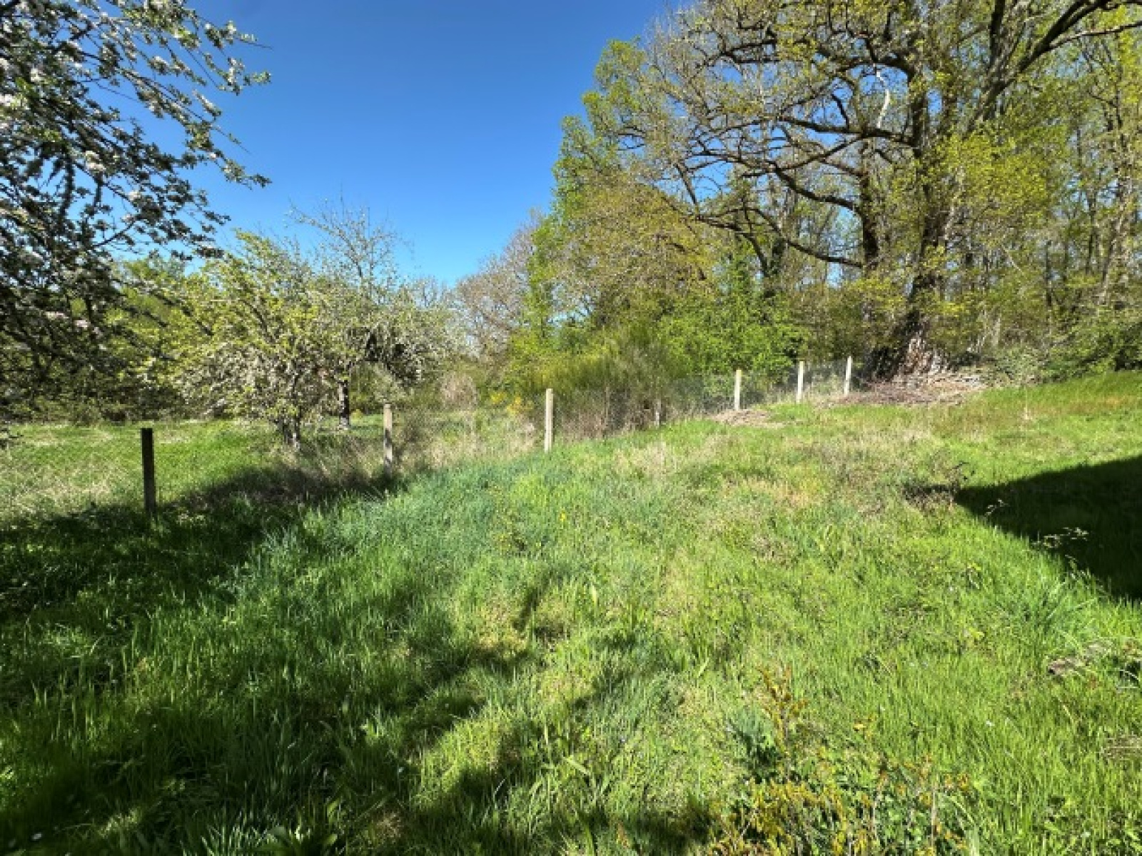 Image_, Maison, Sauret-Besserve, ref :1969