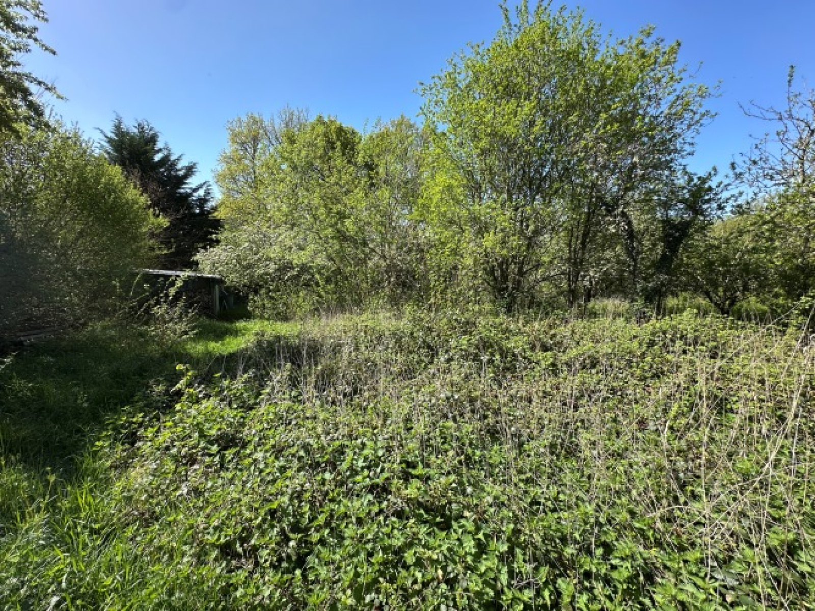 Image_, Maison, Sauret-Besserve, ref :1969