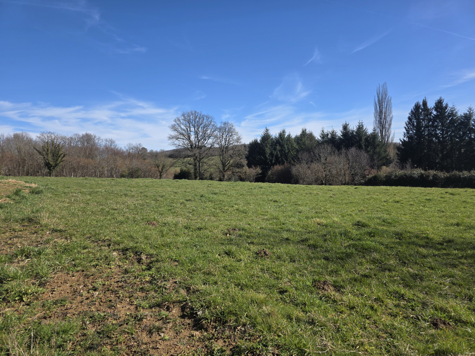 Image_, Terrain à batir, Saint-Georges-de-Mons, ref :1964