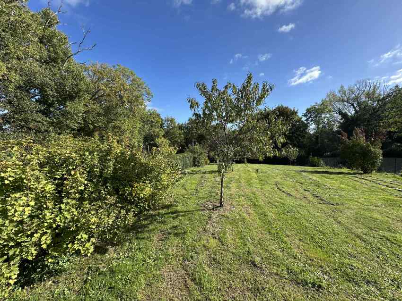 Image_, Maison, Loubeyrat, ref :1930