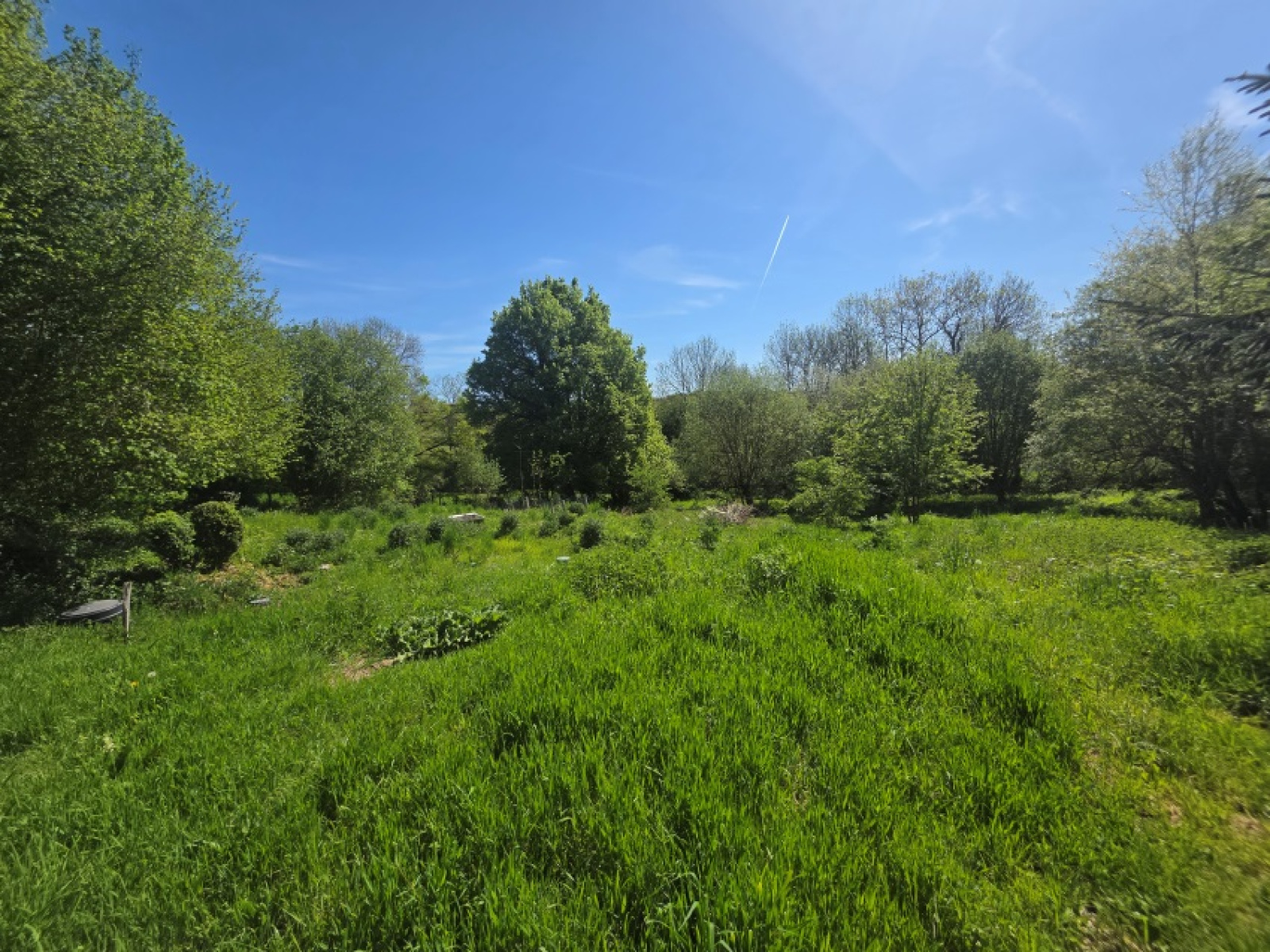 Image_, Maison, Saint-Georges-de-Mons, ref :1997